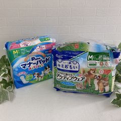 Item thumbnail for item d8c4936a-b5ce-4ae8-a0ca-96ebf02302a8