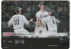 ドリームオーダー 渾身の一球 ヤクルトスワローズ シリアル NO.062