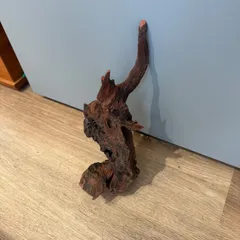 2026年最新】ホーンウッド adaの人気アイテム - メルカリ