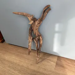 2026年最新】ADA 流木、の人気アイテム - メルカリ