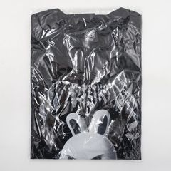 Item thumbnail for item 252b8bc6-3f68-494b-80e2-bb9ff93dd2e2