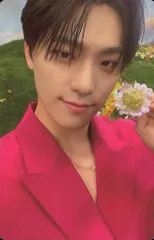 SEVENTEEN SECTOR 17 DINO トレーディングカード