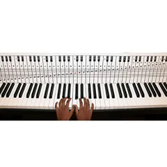 PianoandKeyboardNoteChartfor88KeysUseBehindtheKeysIdealVisualToolforBeginnersLearningPianoorKeyboard