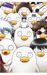 DVD／【特典DVD付】銀魂’ 09 完全生産限定版