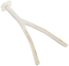 Item thumbnail for item d72d3f10-e9e2-4a6d-8ca8-a6c5fbcbcdb7