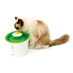 Item thumbnail for item 30e9066f-b1c1-4fe4-ba98-3a688ac2adf7