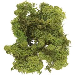 Item thumbnail for item 9b739d33-8c8a-4013-a20c-449dd7365a10