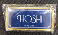 SEVENTEEN 2024 MUSEUM HOSHI ピンズ