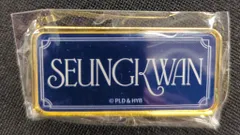 SEVENTEEN 2024 MUSEUM SEUNGKWAN ピンズ