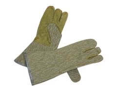 Item thumbnail for item 86e8cd1f-d810-4286-8141-8389c08034ea