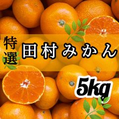 特選 和歌山 田村みかん　5kg みかん　 S-Lサイズ混合 有田みかん　甘い　糖度高め　美味しい 濃厚　ジューシー　訳あり　家庭用