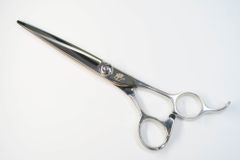 Item thumbnail for item 64402a8b-d733-456e-930b-94ee4776bc61