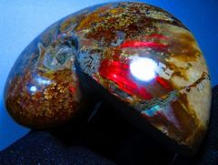 琥珀？ 細密彫刻 髑髏 ドクロ 工芸品 アンティーク コレクション