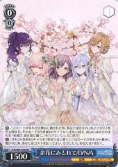 プロセカ ヴァイスシュヴァルツ 余花にみとれて ニーゴ CD特典 - メルカリ