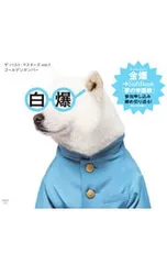 CD／ゴールデンボンバー／ザ・パスト・マスターズ vol.1 初回限定盤C