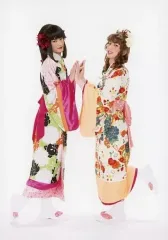 【中古】生写真(男性) 反橋宗一郎(善法寺伊作)・秋沢健太朗(食満留三郎)/全身・着物・女装・体内向き・キャラクターショット/「ミュージカル『忍たま乱太郎』第9弾再演 ～忍術学園陥落!夢のまた夢!?～」トレーディングブロマイド