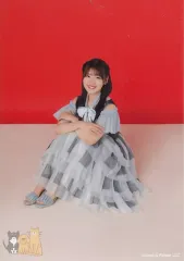 【中古】生写真(乃木坂46) 佐々木美玲/座り・「ひなくり2022」ライブ衣装/佐々木美玲 過去衣装ランダム生写真