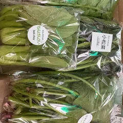 毎日野菜生活！！意外とたっぷり野菜詰め合わせ便
