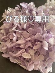 Item thumbnail for item 87d80cf1-5b9c-41e1-a1d4-aa5f2bdd5670