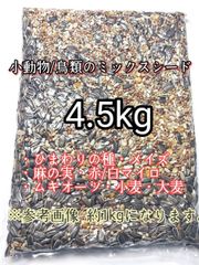 Item thumbnail for item 0bed5cfe-8d0f-4f18-9bd5-184205d4ff31