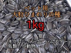 Item thumbnail for item 9e1d7bc0-3805-41e6-904c-b454247f8b56