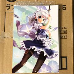 アクセル・ワールド 黒雪姫 ゲーマーズ 特典 ブロマイド - メルカリ