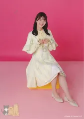 【中古】生写真(乃木坂46) 佐々木美玲/座り・「4回目のひな誕祭」黄色衣装/佐々木美玲 過去衣装ランダム生写真