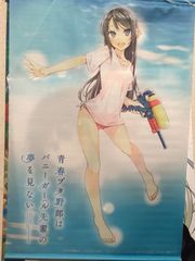 청춘 돼지 놈은 토끼 소녀 선배의 꿈을 꾸지 않는 B2 태피스트리 마이 태피스트리