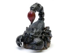 動物の惑星】「シークレット」アカオクロオウム♂ フィギュア - メルカリ