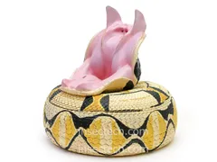 2026年最新】動物の惑星 シークレットの人気アイテム - メルカリ