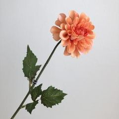 オレンジ色の菊 5本 花瓶付き - メルカリ