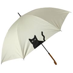 Item thumbnail for item 54c99b64-4b22-4cb0-b8b6-53a69daf2f6d