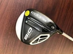 Item thumbnail for item 50896860-97a5-40ec-bc86-29e08c157b27