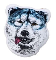 MAN WITH A MISSION 맨위즈 어미션 맨위즈 MWAM 15th ANNIVERSARY 2026 이치 반 쿠지 C~G상 쿠션 페이스쿠션 토쿄 타나카☆