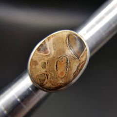 Item thumbnail for item cd55a26c-c575-4e3b-9183-9b4e31a206fc