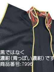 Item thumbnail for item 9c192679-e465-4410-a273-10776bd9368a