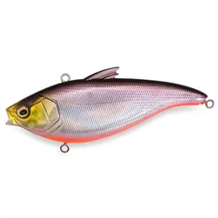 2026年最新】メガバス TYPE-Xの人気アイテム - メルカリ