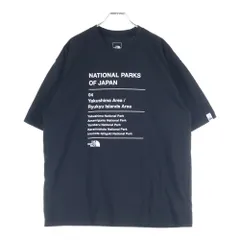THE NORTH FACE (ザノースフェイス) S/S National Parks Tee ナショナルパークス プリント クルーネック 半袖Tシャツ カットソー ブラック NT32516R
