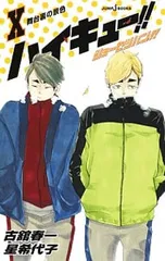 ハイキュー!!ショーセツバン!! 10／星希代子