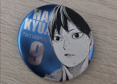 ハイキュー ファンパーク コレクション 缶バッジ 影山 出品
