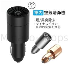 Item thumbnail for item 492b572f-3897-4b55-a4c8-2a5cbdf172ae