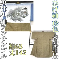 【着物と帯 時流】M241251◆ひげ紬 男性用 アンサンブル◆珍色 未使用品