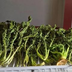 花山椒、100グラム、少し黄色になりました。 - メルカリ
