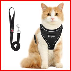 Item thumbnail for item a9ade521-185f-4b89-b706-0ce80f767ec7