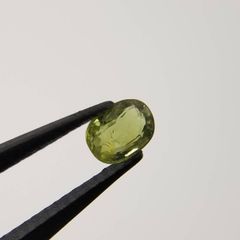 ブラックトルマリン(7.5ml) アラスカンエッセンス フラワーエッセンス