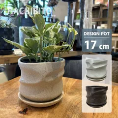 2026年最新】パーティクル 陶器の人気アイテム - メルカリ