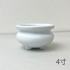 Item thumbnail for item 1353cef9-5e43-47b5-97cf-2c14d518919b