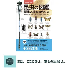 2026年最新】昆虫採集 標本の人気アイテム - メルカリ