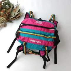 CHUMS チャムス CHUMS SPRING DALE 15 スプリングデール15 リュック バッグ カバン(116K＋0678)26H☆