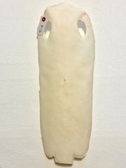 Item thumbnail for item 10336434-419a-4394-8b54-e88dc919b355